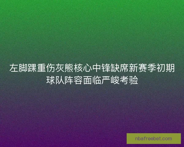 左脚踝重伤灰熊核心中锋缺席新赛季初期球队阵容面临严峻考验 左脚踝重伤灰熊核心中锋缺席新赛季初期球队阵容面临严峻考验