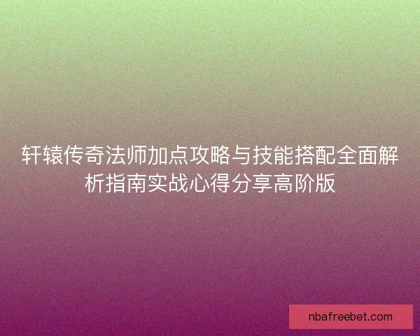 轩辕传奇法师加点攻略与技能搭配全面解析指南实战心得分享高阶版
